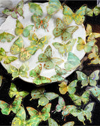 Green and gold butterfly stickers