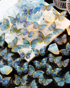 Blue butterfly stickers with gold foil