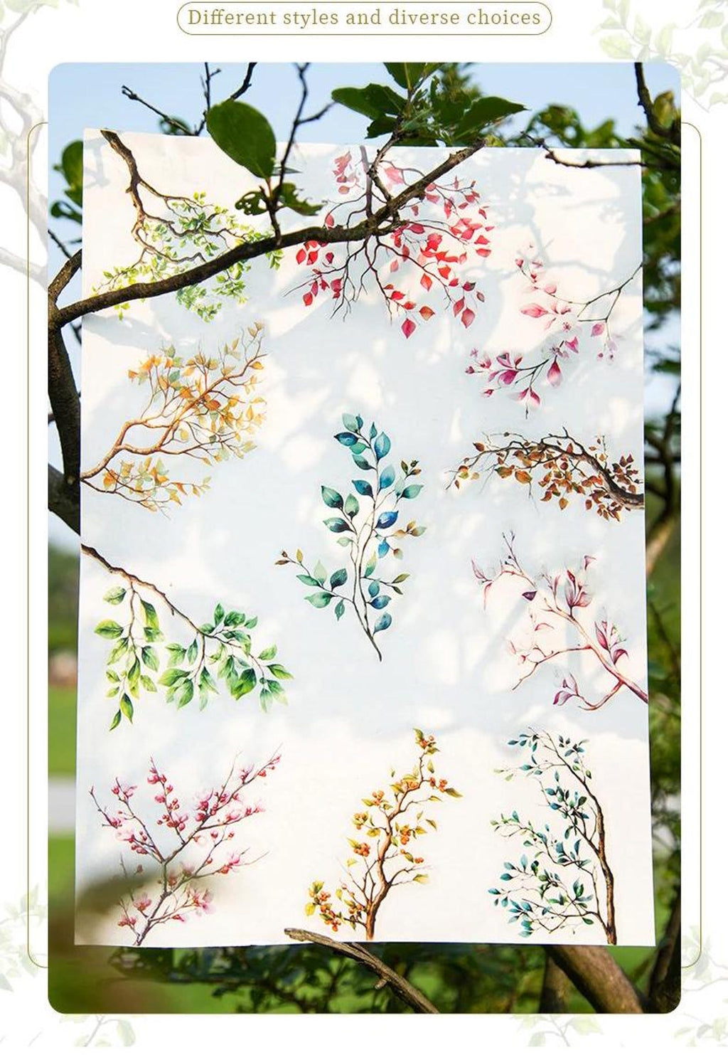 Botanical branch PET sticker colour and style selection