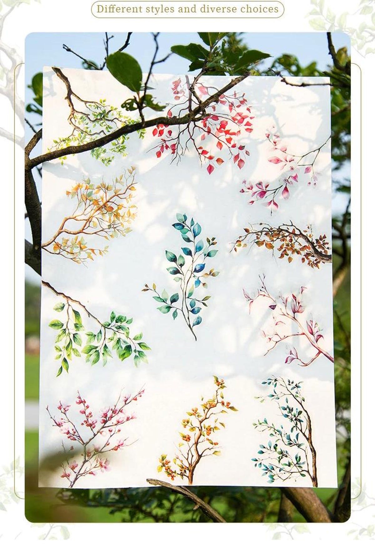 Botanical branch PET sticker colour and style selection