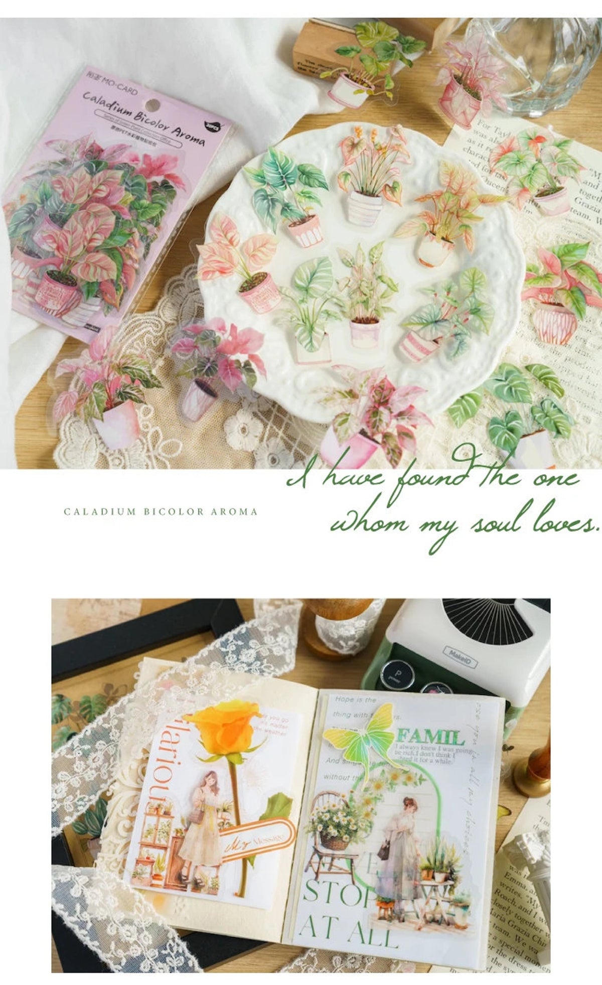 Plant Collection Stickers – Style B