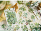 Plant Collection Stickers – Style D