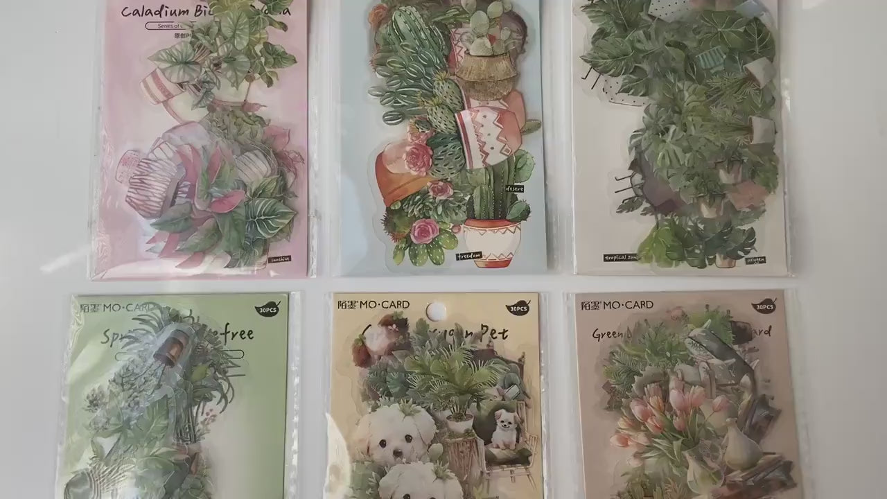 Plant collection botanical green leaf stickers product video